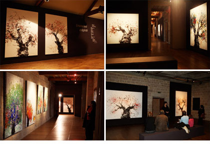 Exposition au domaine de S&eacute;di&egrave;res du 21 octobre au 6 d&eacute;cembre 2009